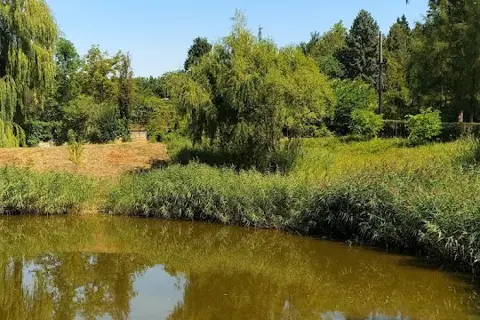 Ботанічний сад Подільського державного аграрно-технічного університету — фото 1