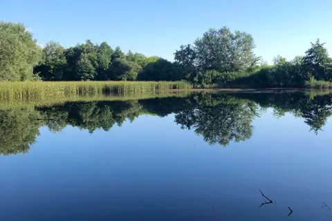 Козачанський парк — фото 1