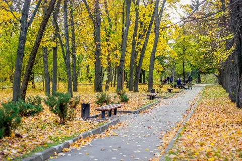 Парк початку ХІХ ст. — фото 11
