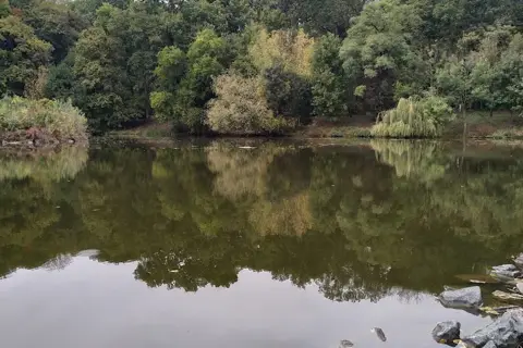 Кагарлицький парк — фото 3