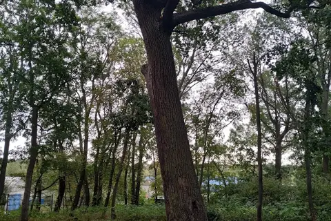 Кагарлицький парк — фото 4