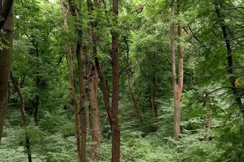 Кагарлицький парк — фото 6