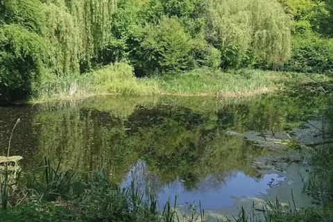 Рудківський дендропарк — фото 2