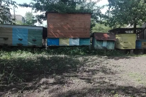 Рудківський дендропарк — фото 9