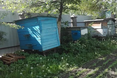 Рудківський дендропарк — фото 13