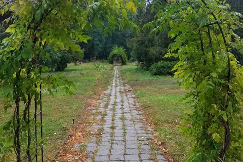 Регіональний ландшафтний парк «Слов'янський курорт» — фото 8