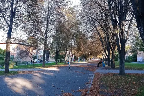 Кременчуцькі Плавні (регіональний ландшафтний парк) — фото 1