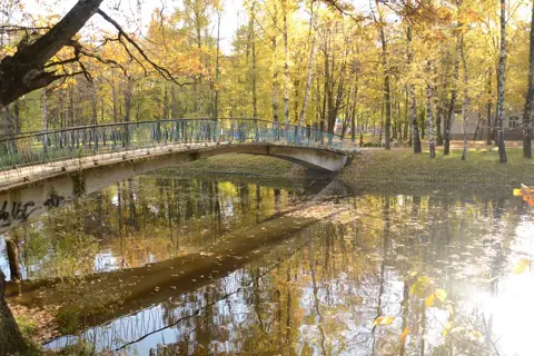 Парк Тараса Шевченка — фото 1