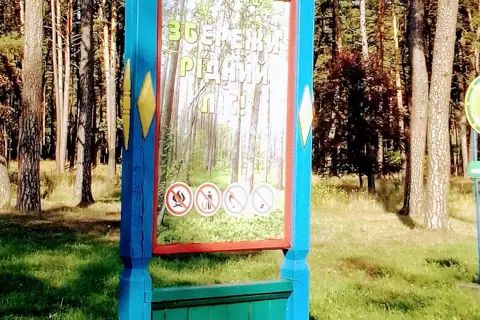 Філія "Лебединське лісове господарство" ДП "Ліси України" — фото 3