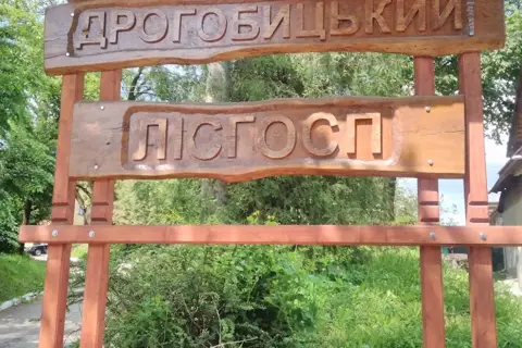 Дрогобицький лісгосп, дп