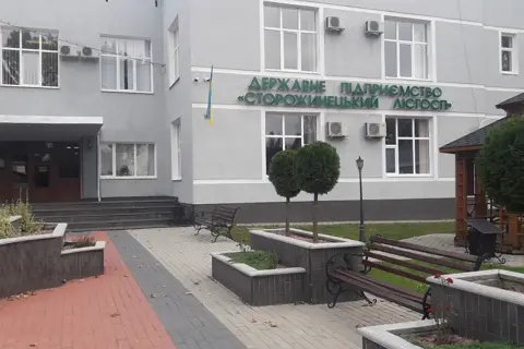Державне підприємство "Сторожинецьке лісове господарство" — фото 2
