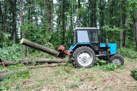Жовтневе Лісове Господарство
