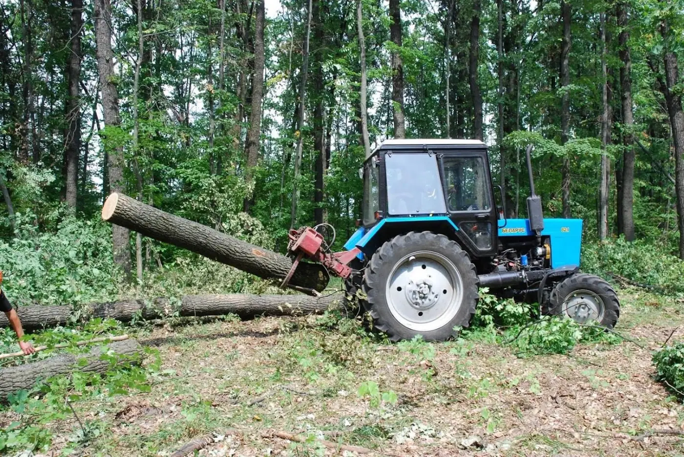 Жовтневе Лісове Господарство