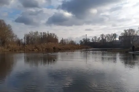 Мисливські господарства