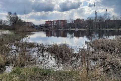 Полтавське обласне управління лісового та мисливського господарства — фото 3