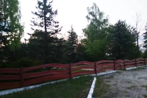 Ковельське лісове господарство, дп — фото 4
