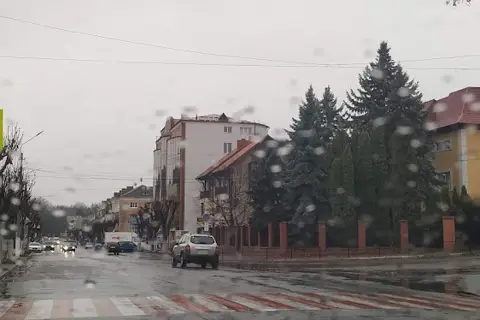 Лісове господарство Чортківське ДП — фото 2