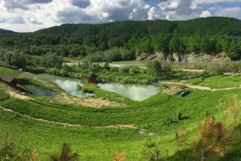 Риболовля Форель(відпочинок на природі) (Заріччя) — фото 2