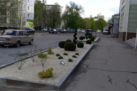 Житомирське Обласне Управління Лісового Та Мисливського Господарства — фото 3