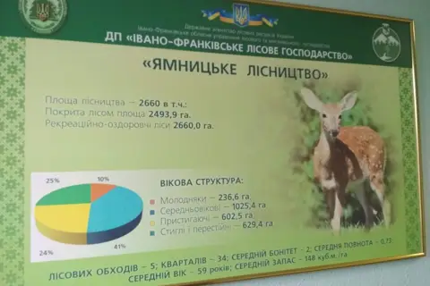 ДП "Івано-Франківське лісове господарство"