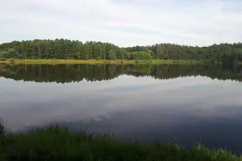 Коростишівський мисливський клуб