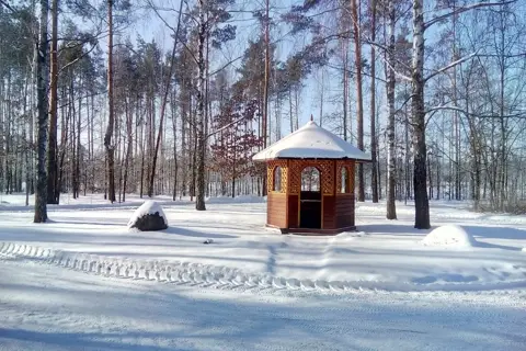 Малинське лісове господарство