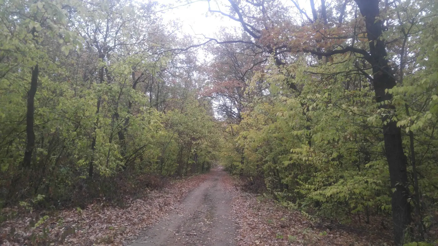 Березівський держлісгосп