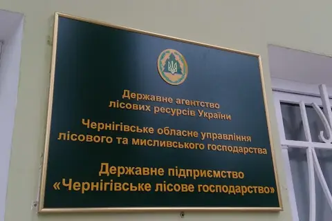 Дп чернігівське лісове господарство