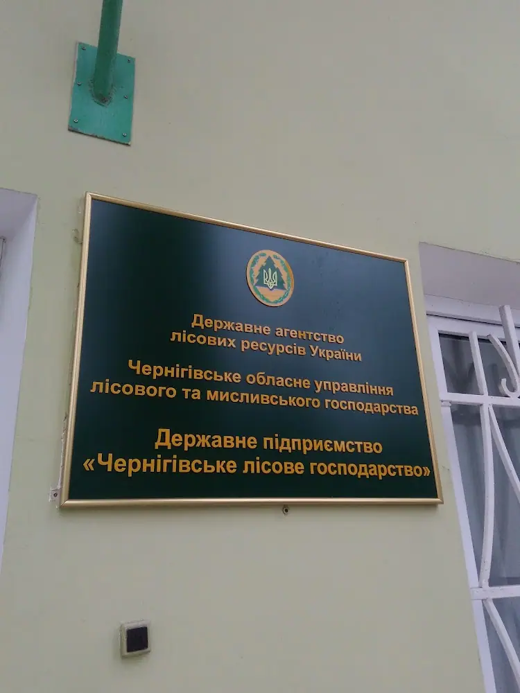 Дп чернігівське лісове господарство