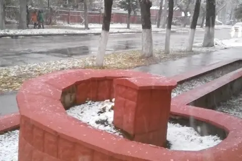 Дп чернігівське лісове господарство — фото 4