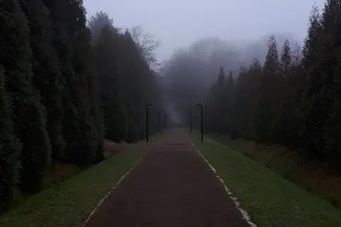 Калуський лісгосп — фото 2