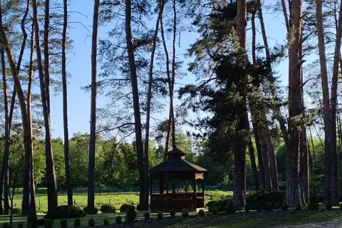Піщанське лісництво