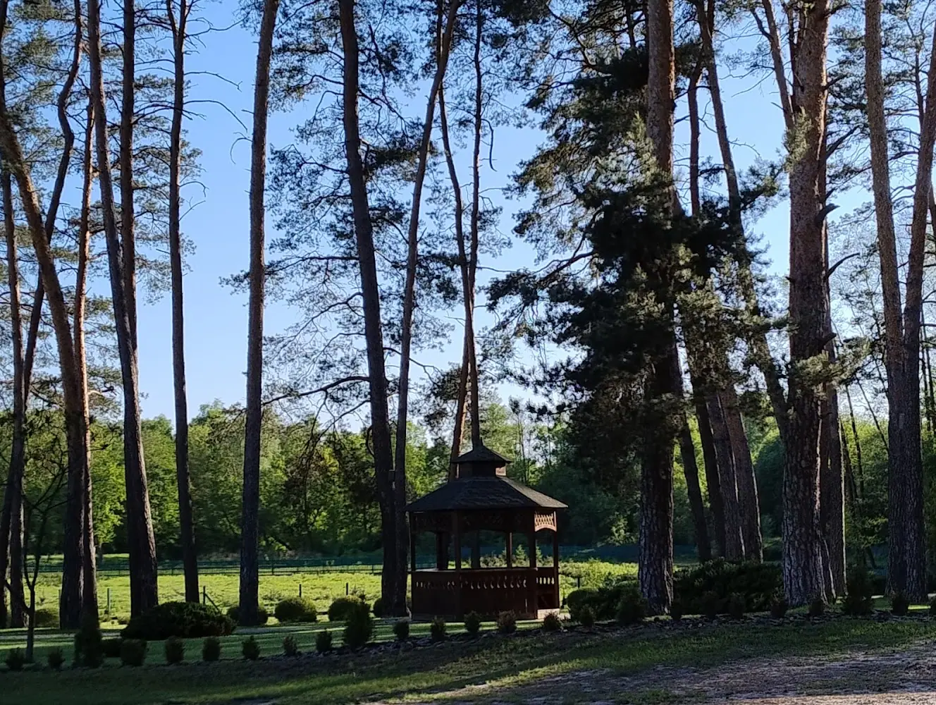 Піщанське лісництво