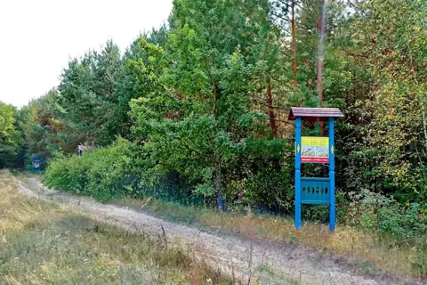 Межиріцьке лісництво — фото 2