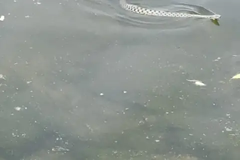 Отдых рыбалка — фото 2