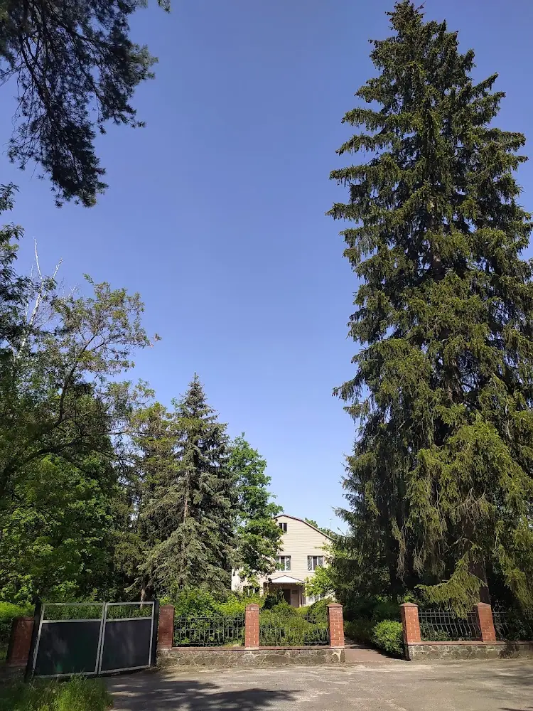 Кам'янське лісництво