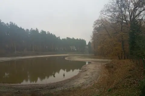 Радянське лісництво
