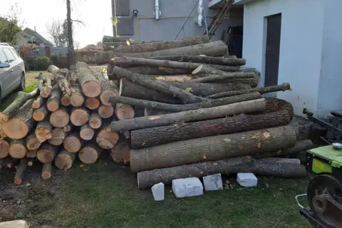 Лісомисливське господарство