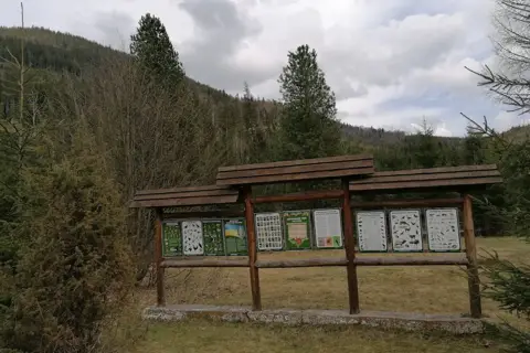 Лісове господарство осмолодське дп — фото 2