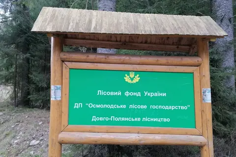Лісове господарство осмолодське дп — фото 3