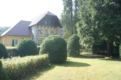 Берегівське лісове господарство, дп