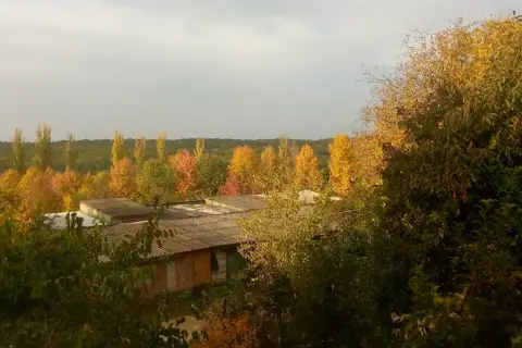 ДП "Новоушицьке лісове господарство" — фото 3