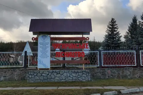 Дп чигиринське лісове господарство