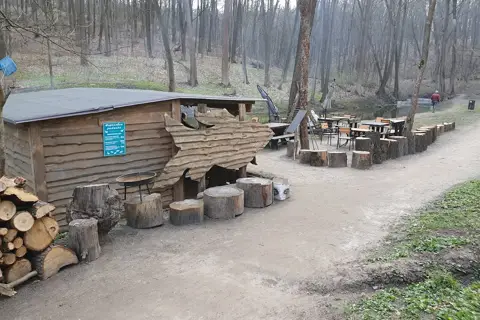 Форельна рибалка — фото 3