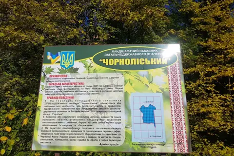 Чорноліський лісгосп — фото 2