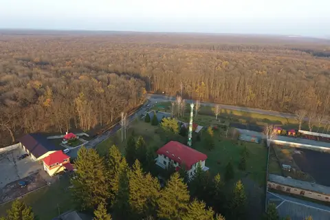 Чорноліський лісгосп — фото 3