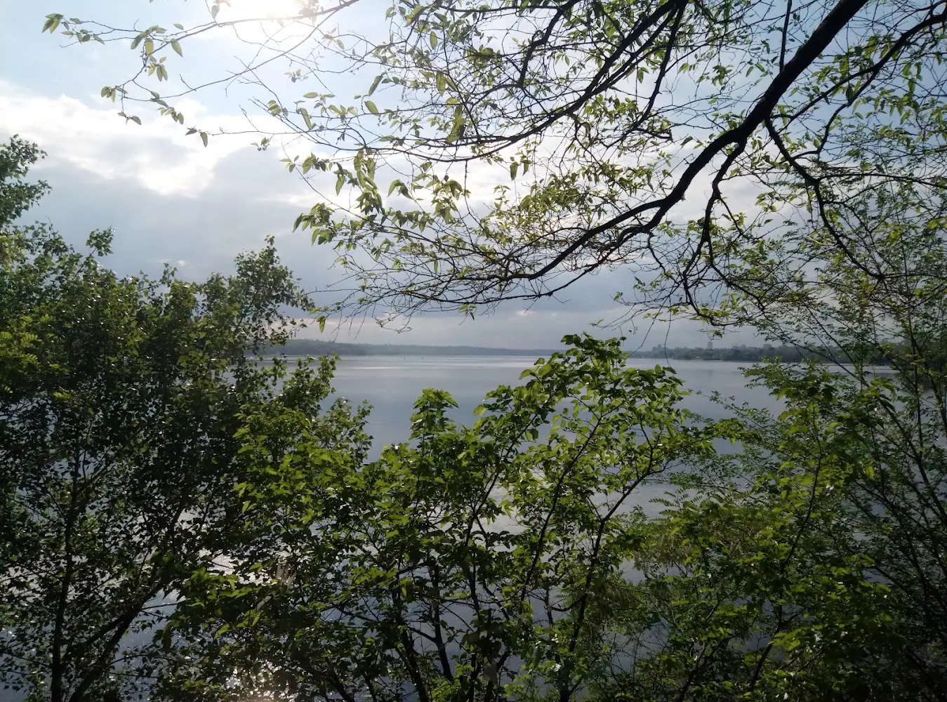 Олександрівське Лісництво