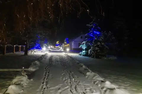 Лісове господарство (Городниця) — фото 3