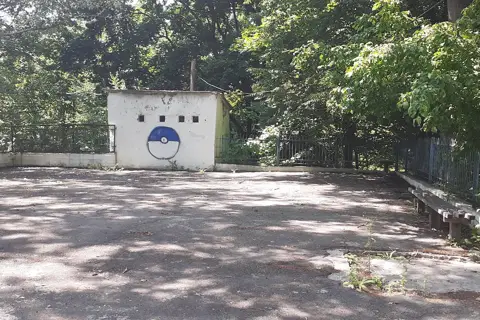 Лісове господарство (Городниця) — фото 4