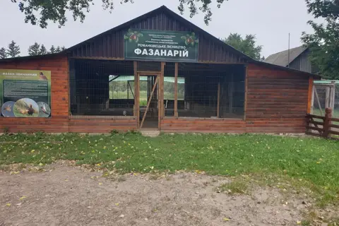 Романківецьке лісництво ДП "Сокирянське лісове господарство"